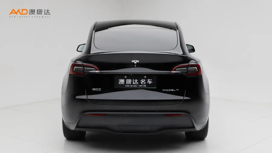 二手特斯拉Model Y 改款 后輪驅(qū)動(dòng)版圖片3538136