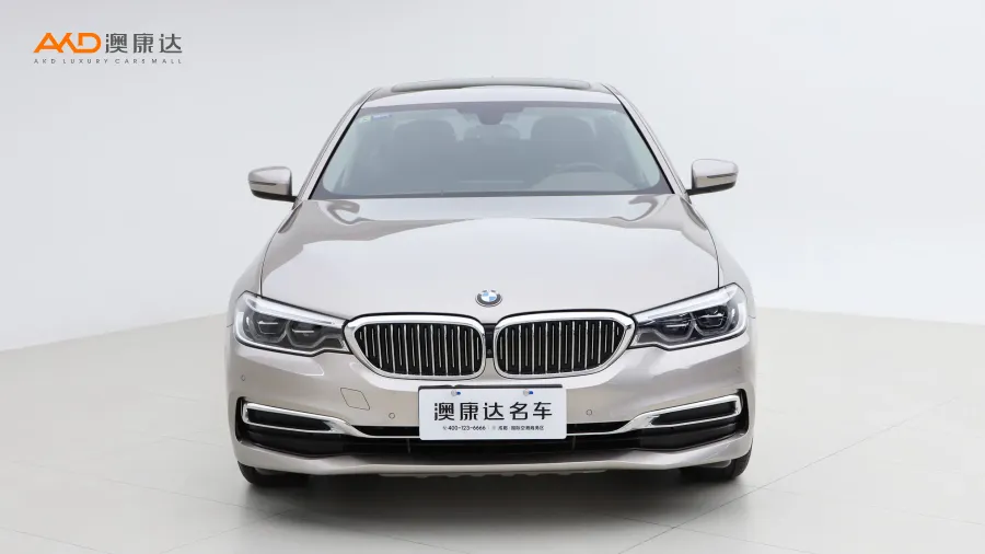 二手寶馬530Li 領先型 豪華套裝圖片3550057