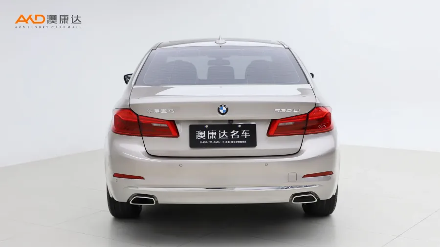 二手寶馬530Li 領先型 豪華套裝圖片3550066