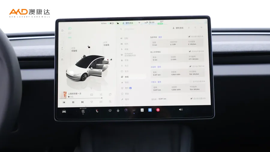 二手特斯拉Model 3 長續(xù)航全輪驅動版圖片3556898