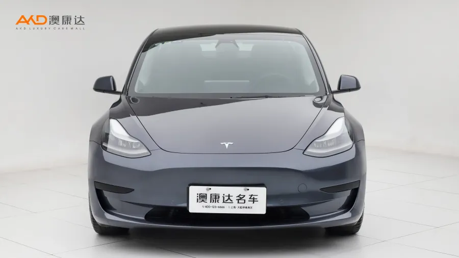 二手特斯拉Model 3 標(biāo)準(zhǔn)續(xù)航后驅(qū)升級(jí)版圖片3559771