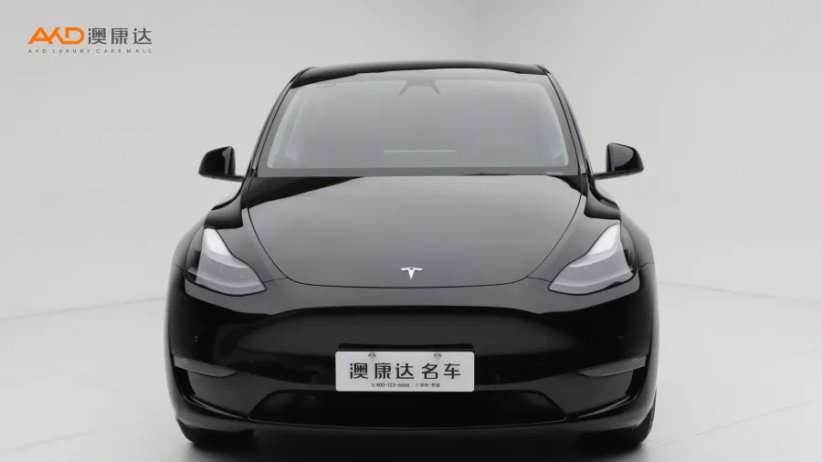 二手特斯拉Model Y 改款 長續(xù)航全輪驅(qū)動(dòng)版圖片3563600