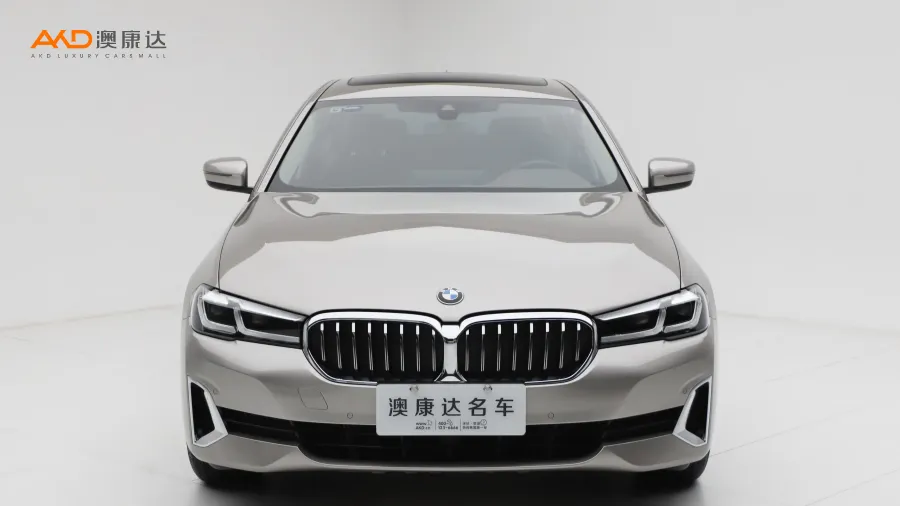 二手寶馬530Li xDrive 豪華套裝圖片3564858