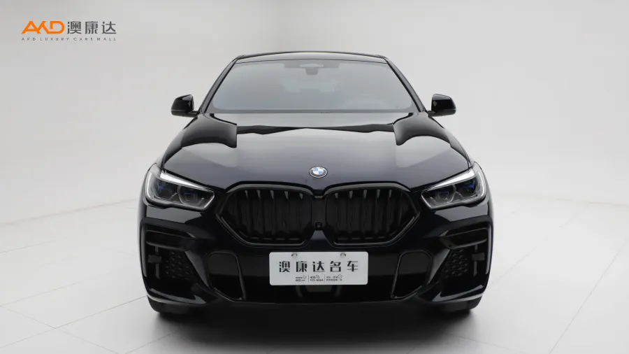 二手寶馬X6 改款二 xDrive40i 尊享型M運(yùn)動套裝圖片3569115