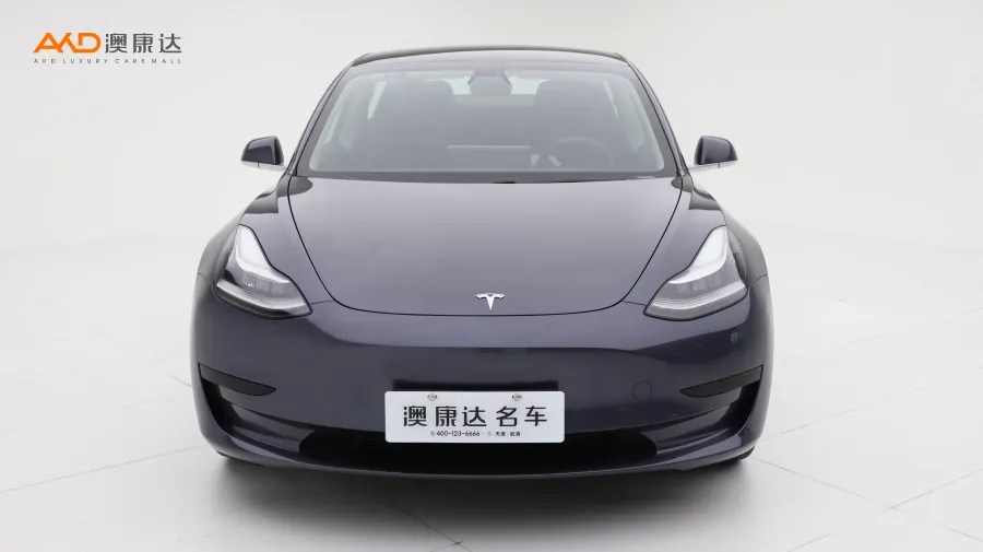 二手特斯拉Model 3 標準續(xù)航后驅(qū)升級版圖片3572931