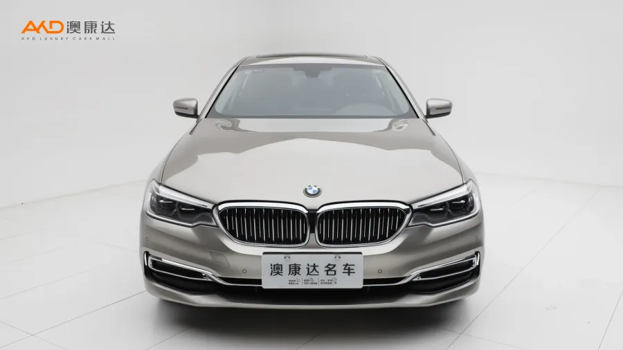 二手寶馬530Li 領(lǐng)先型 豪華套裝圖片3572378