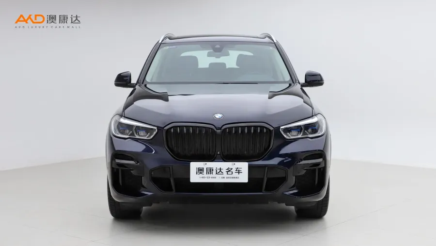 二手寶馬X5 xDrive40i  M運(yùn)動(dòng)套裝圖片3573944