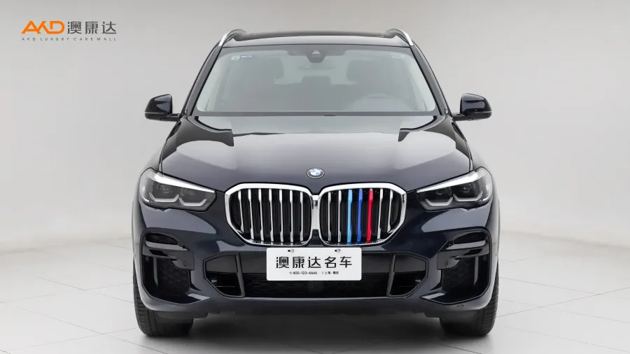 二手寶馬X5 xDrive30i M運(yùn)動(dòng)套裝圖片3574919