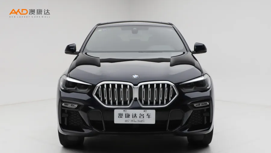 二手寶馬X6 xDrive30i M運(yùn)動(dòng)套裝圖片3576090