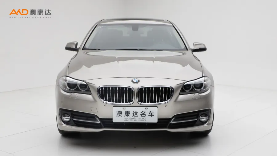 二手寶馬520Li 典雅型圖片3581866