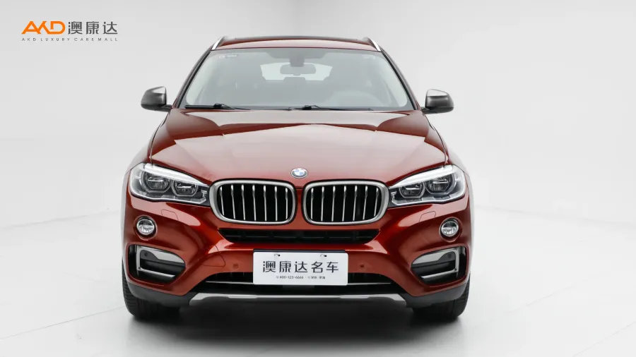 二手寶馬X6 xDrive35i 豪華型圖片3591936