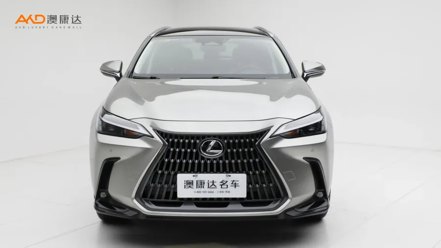 二手雷克薩斯NX350h 前驅 創(chuàng)享版圖片3597281