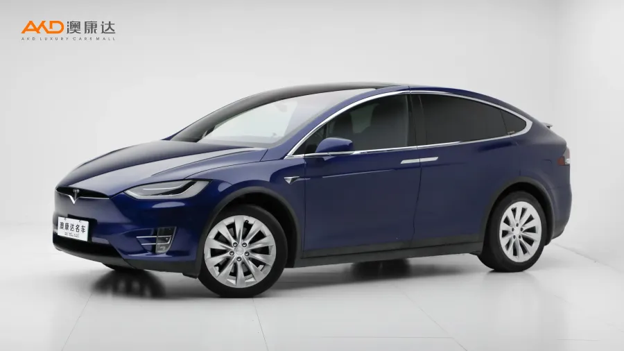 二手特斯拉Model X 100D 長續(xù)航版圖片