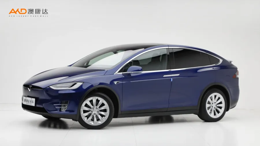 二手特斯拉Model X 100D 長續(xù)航版圖片