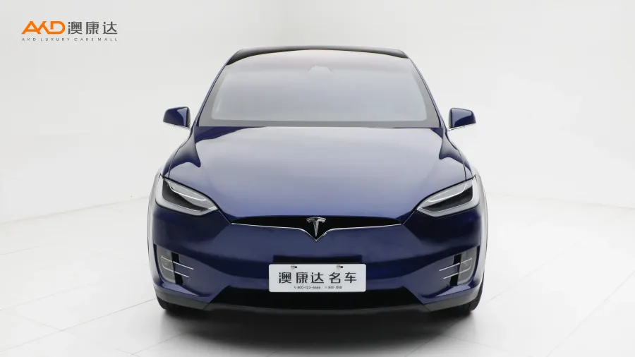 二手特斯拉Model X 100D 長續(xù)航版圖片3613569