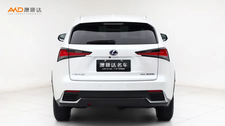 二手雷克薩斯NX300h 前驅(qū) 鋒尚版圖片3615695