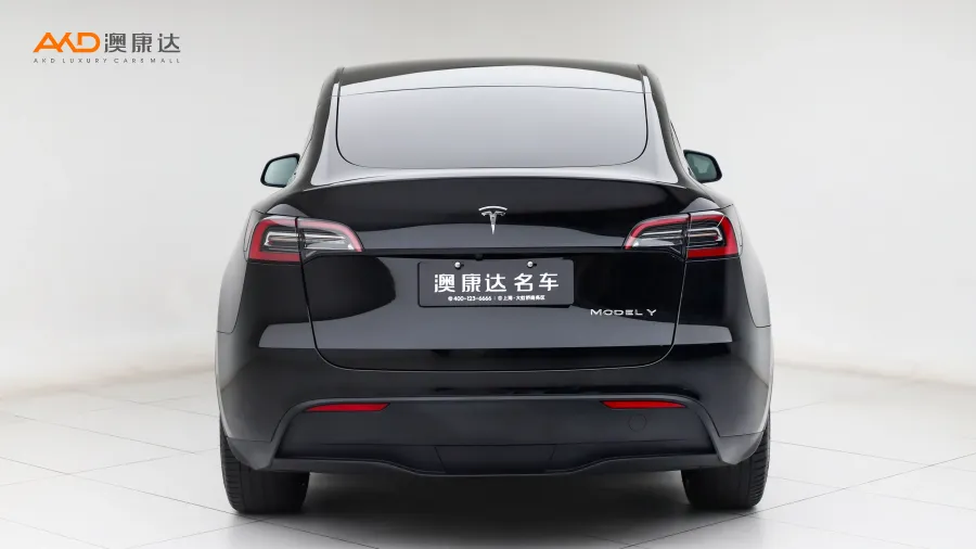 二手特斯拉Model Y 改款 長續(xù)航全輪驅(qū)動版圖片3617000