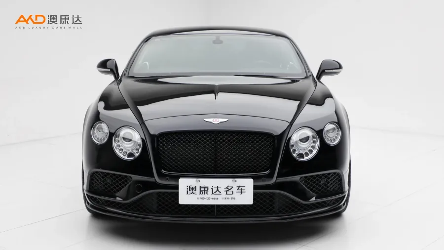 二手歐陸 4.0T GT V8S 標(biāo)準(zhǔn)版圖片3620135