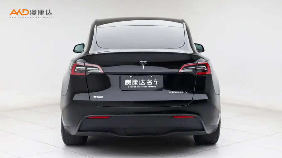 二手特斯拉Model Y Performance高性能全輪驅(qū)動(dòng)版圖片3619449