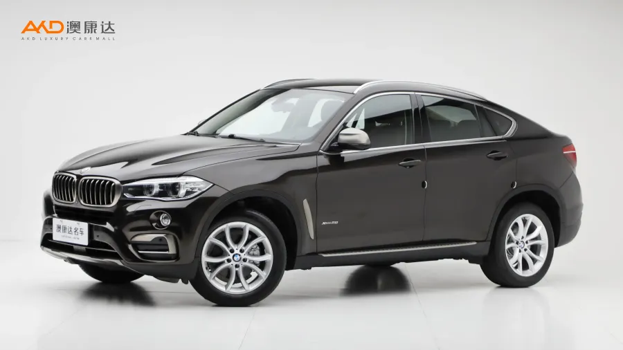 二手寶馬X6  xDrive28i圖片