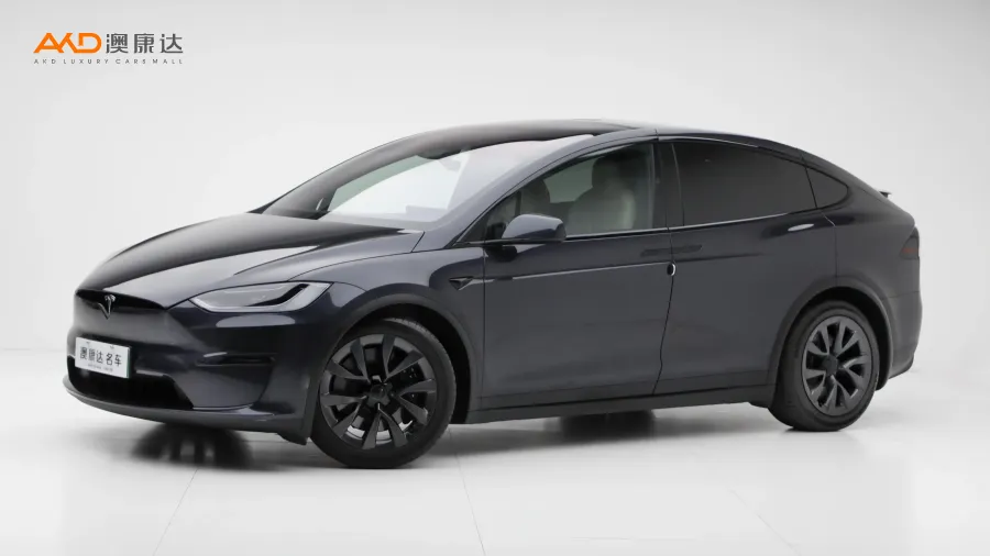 二手Model X 雙電機(jī)全輪驅(qū)動版圖片