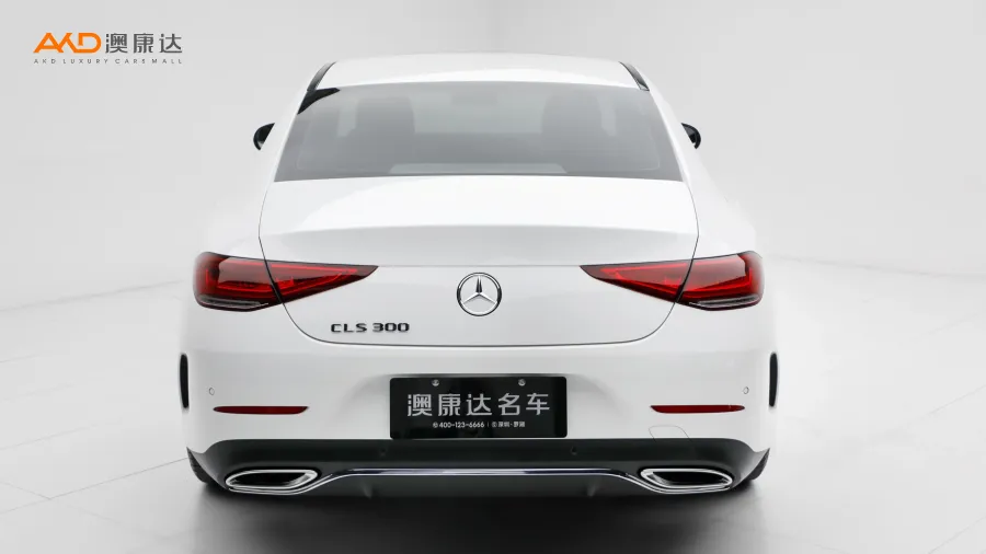 二手奔馳CLS300 動感型圖片3639395