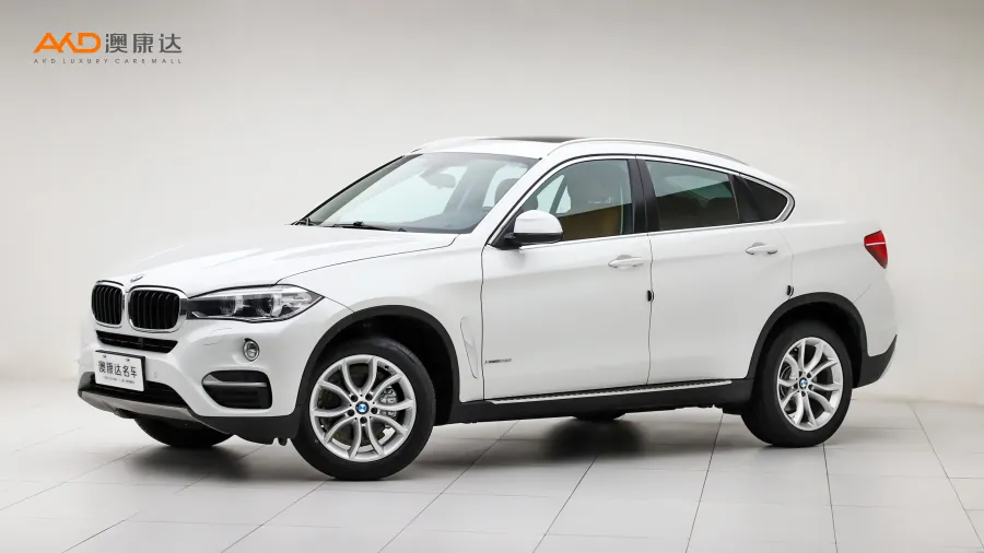 二手寶馬X6 xDrive28i圖片