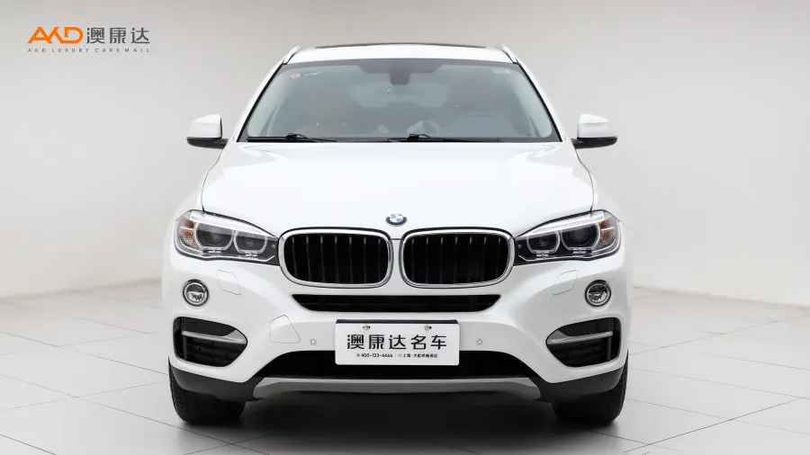 二手寶馬X6 xDrive28i圖片3639245