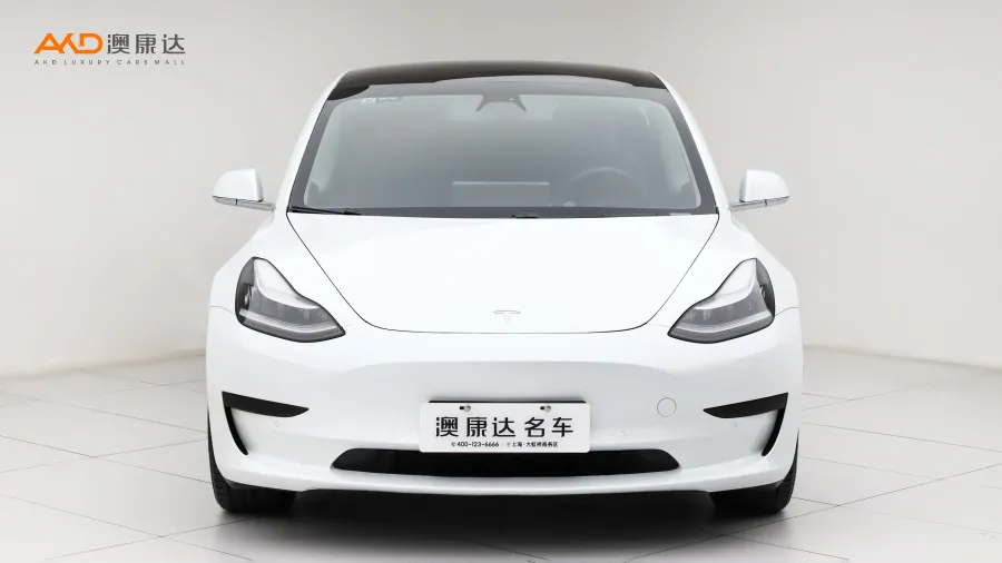 二手特斯拉Model 3 標(biāo)準(zhǔn)續(xù)航后驅(qū)升級(jí)版圖片3638141