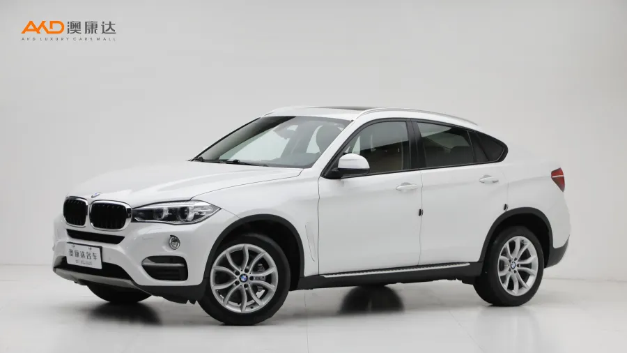 二手寶馬X6 xDrive28i圖片