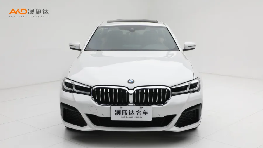 二手寶馬530Li xDrive M運(yùn)動套裝圖片3648669