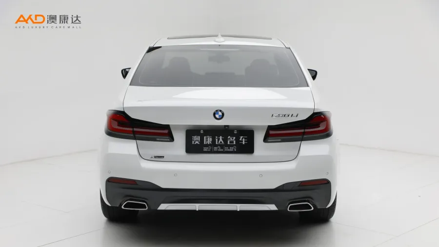 二手寶馬530Li xDrive M運(yùn)動套裝圖片3648675