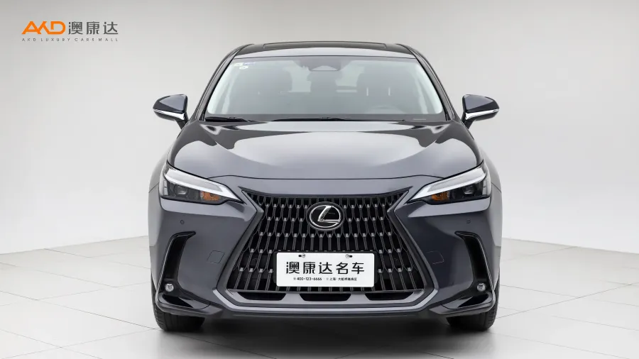 二手雷克薩斯 NX400h+ 暢悅版圖片3649755