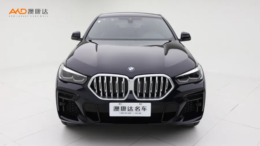 二手寶馬X6 xDrive30i M運(yùn)動套裝圖片3650406