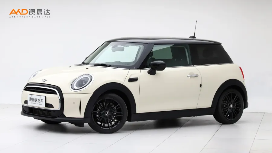 二手Mini COOPER 藝術(shù)家圖片