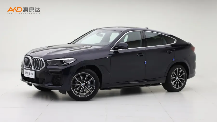 二手寶馬X6 xDrive30i M運(yùn)動套裝圖片