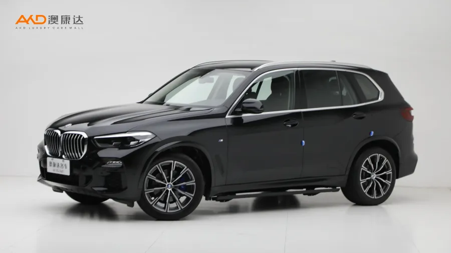 二手寶馬X5 xDrive30i M運(yùn)動(dòng)套裝圖片