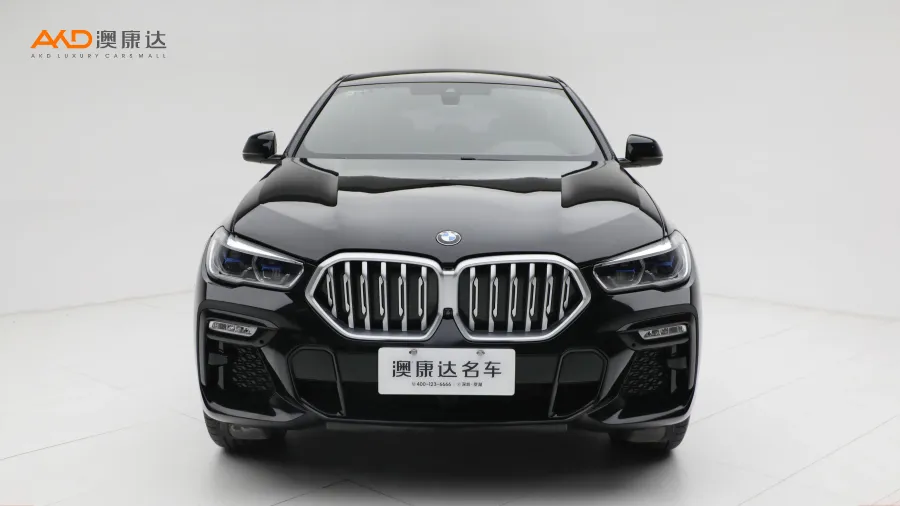 二手寶馬X6 xDrive40i M運(yùn)動(dòng)套裝圖片3653112