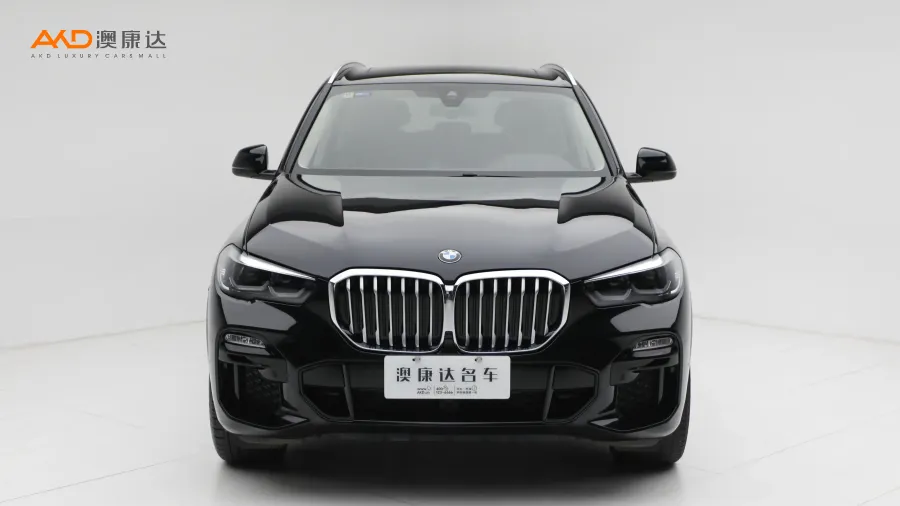 二手寶馬X5 xDrive30i M運(yùn)動(dòng)套裝圖片3652749