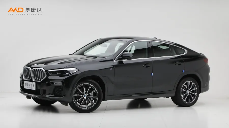 二手寶馬X6 xDrive30i M運(yùn)動套裝圖片