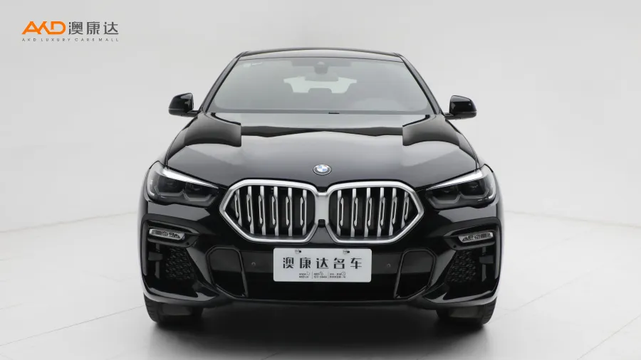 二手寶馬X6 xDrive30i M運(yùn)動套裝圖片3653666