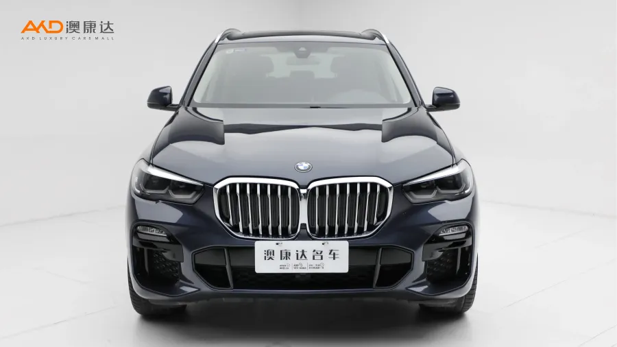 二手寶馬X5 xDrive30i M運(yùn)動(dòng)套裝圖片3654740