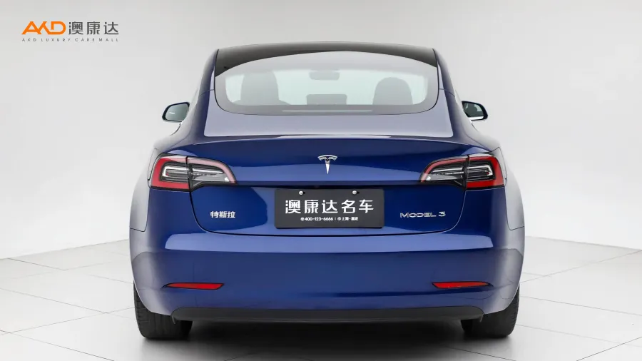 二手特斯拉Model 3  改款標(biāo)準(zhǔn)續(xù)航后驅(qū)升級(jí)版圖片3655144