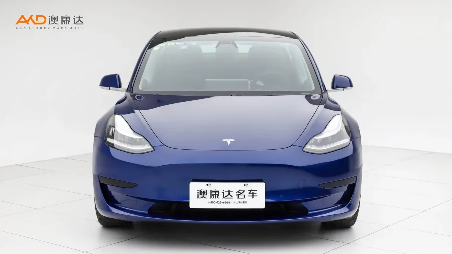 二手特斯拉Model 3  改款標(biāo)準(zhǔn)續(xù)航后驅(qū)升級(jí)版圖片3655138