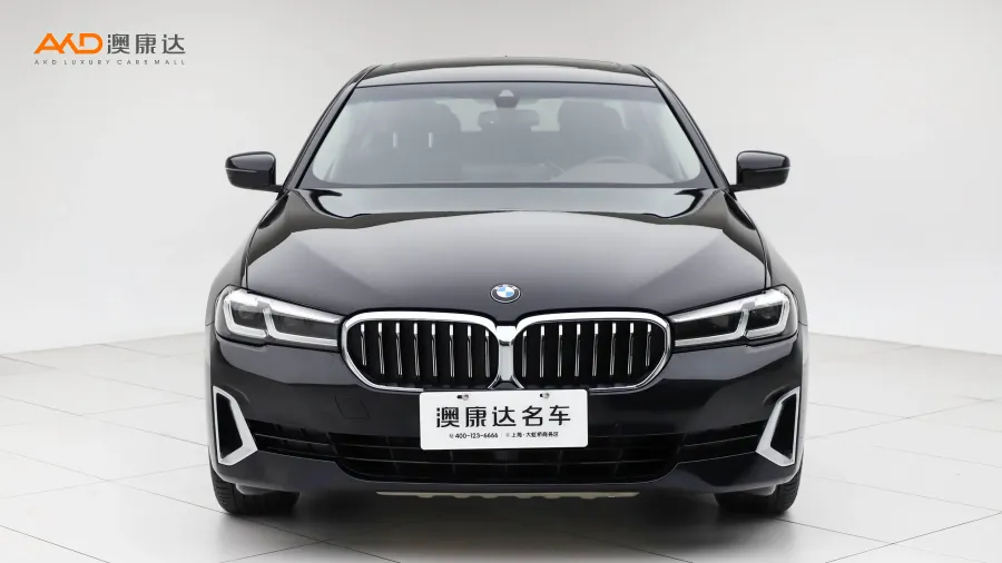 二手寶馬530Li 領(lǐng)先型 豪華套裝圖片3657381