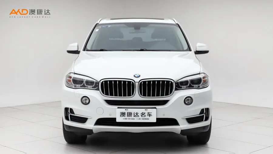 二手寶馬X5 xDrive35i 典雅型圖片3657148