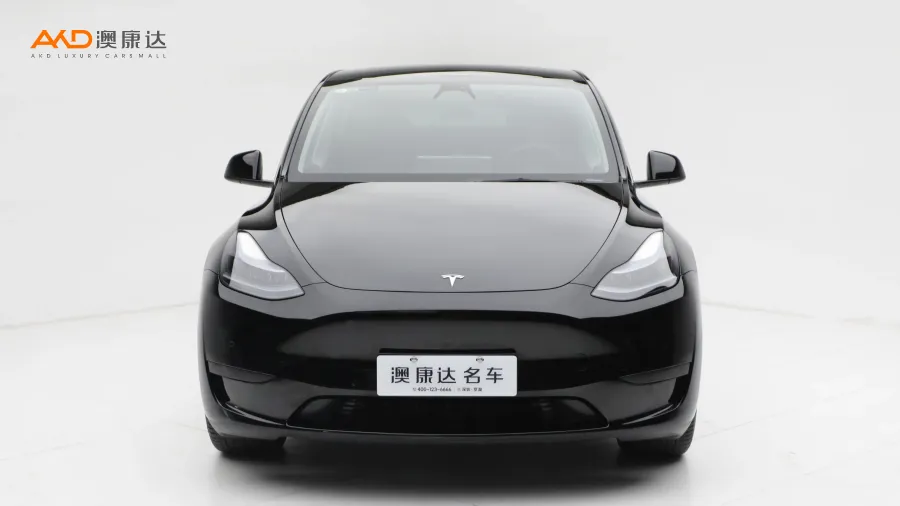 二手特斯拉Model Y 改款 后輪驅(qū)動(dòng)版圖片3659019