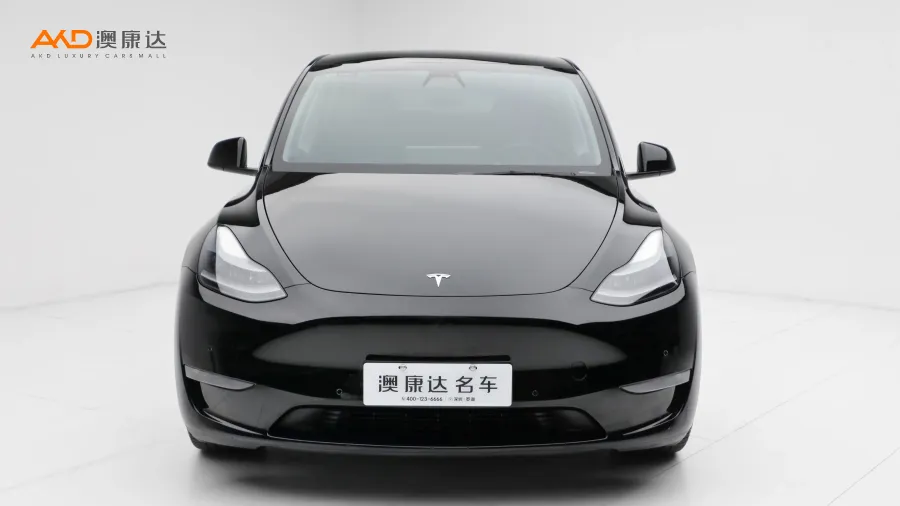 二手特斯拉Model Y Performance高性能全輪驅(qū)動版圖片3667261