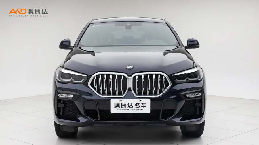 二手寶馬X6 xDrive30i M運(yùn)動(dòng)套裝圖片3669290