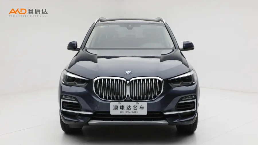 二手寶馬X5 xDrive30i X設(shè)計(jì)套裝圖片3670959